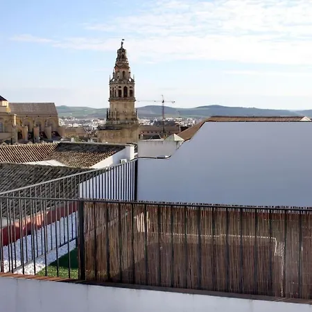 Mirador De La Mezquita