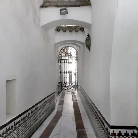 Mirador De La Mezquita * Cordova